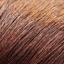 Elan marron 47