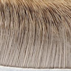 Elan naturel clair 229