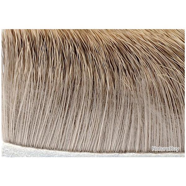 Elan naturel clair 229