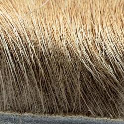 Elan naturel fonc&eacute; 230