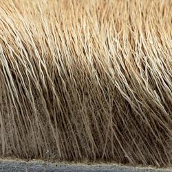 Elan naturel fonc&eacute; 230