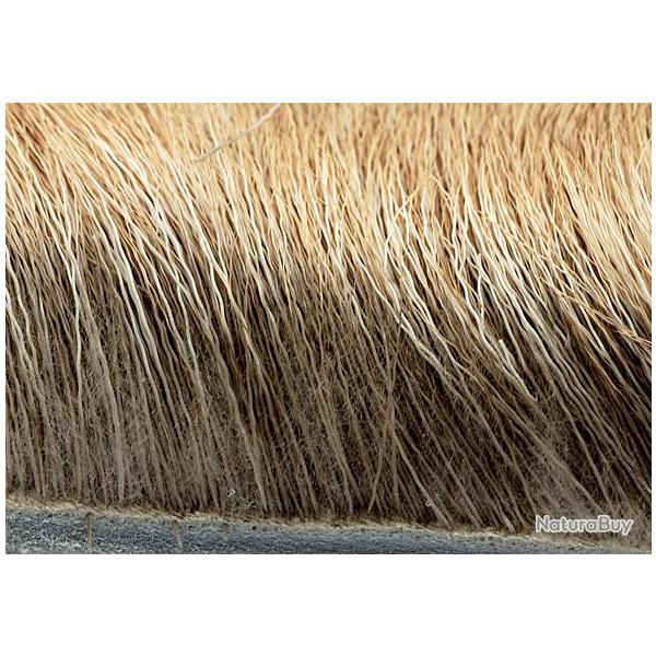 Elan naturel fonc� 230