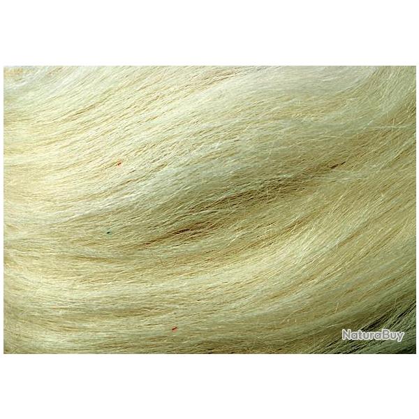 Ch�vre blanc