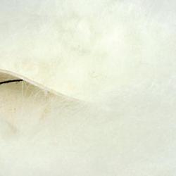 Yak streamer hair blanc 1