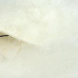 Yak streamer hair blanc 1
