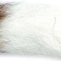 Queue de veau blanc 1