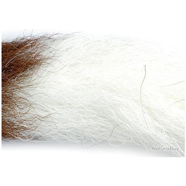 Queue de veau blanc 1