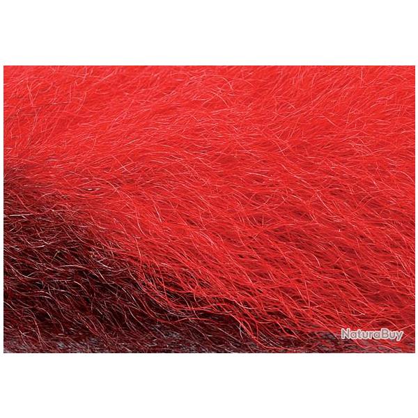 Queue de veau rouge 56