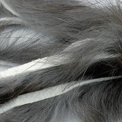 Zonker lapin standard 3mm gris charbon 135