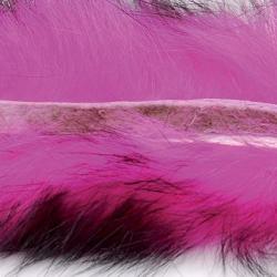 Zonker bicolore fushia noir