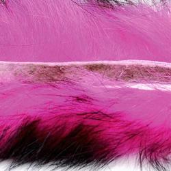 Zonker bicolore fushia noir