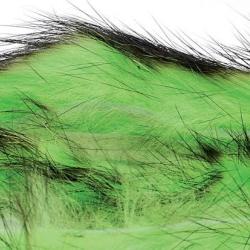 Zonker bicolore vert noir