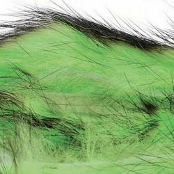 Zonker bicolore vert noir