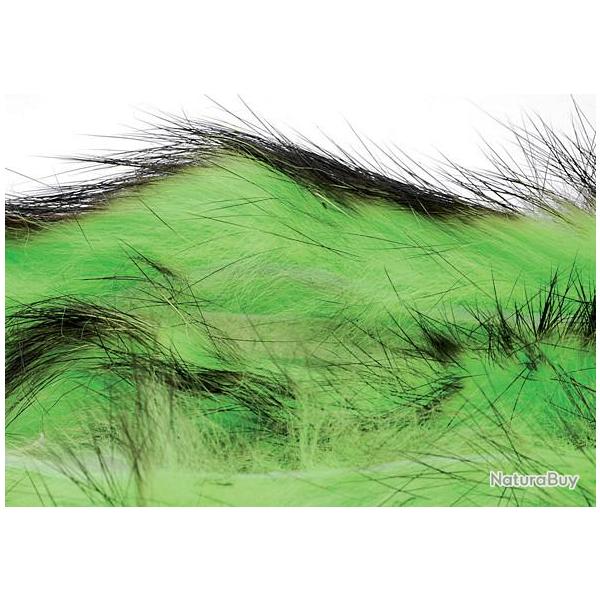 Zonker bicolore vert noir