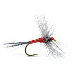 Mouche DEVAUX S&egrave;che B15 H18