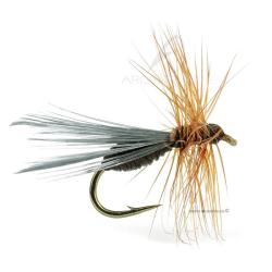 Mouche DEVAUX Terrestre fourmi B513 H16