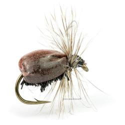 Mouche DEVAUX Terrestre JBT 03 H12