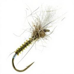 Mouche DEVAUX Chironome JBC7 H18