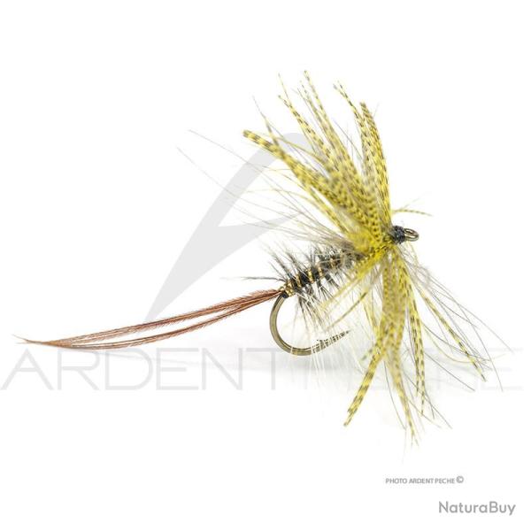 Mouche Florian St�phan Mai M214 H10