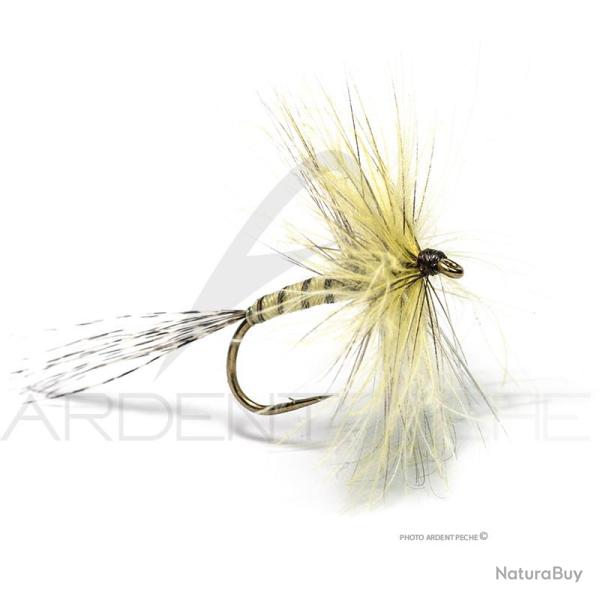 Mouche Florian St�phan Mai M213 H12