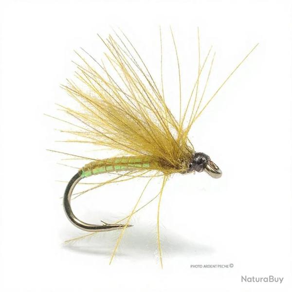 Mouche Florian St�phan C1 olive H18