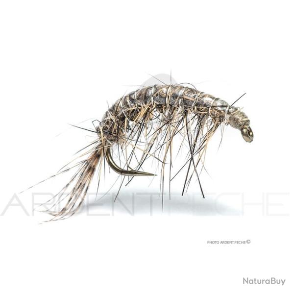 Mouche Florian St�phan Gammare N22 H12