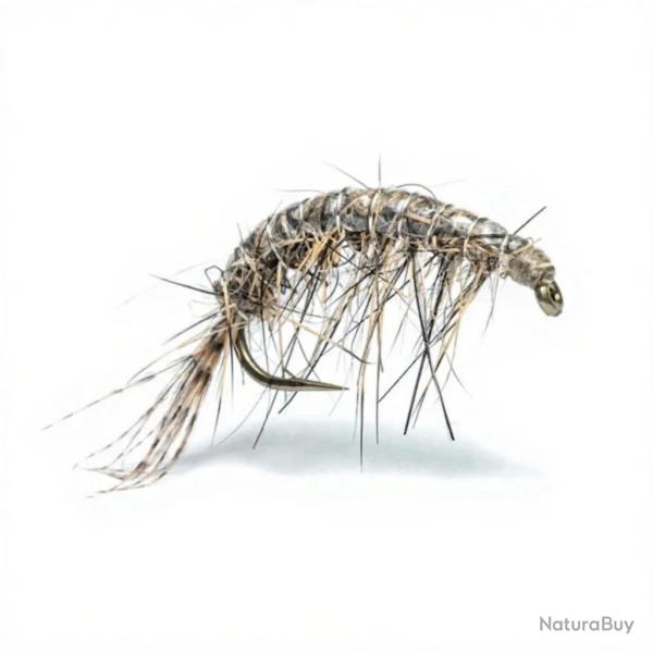 Mouche Florian St�phan Gammare N22 H12