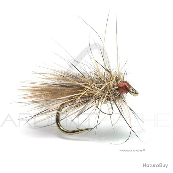 Mouche Florian St�phan Drag CDC H16