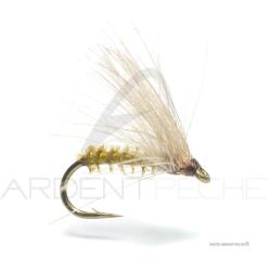 Mouche Florian St&eacute;phan C5 H18