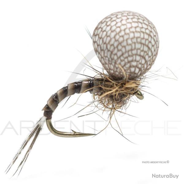 Mouche Florian St�phan EM3 H16