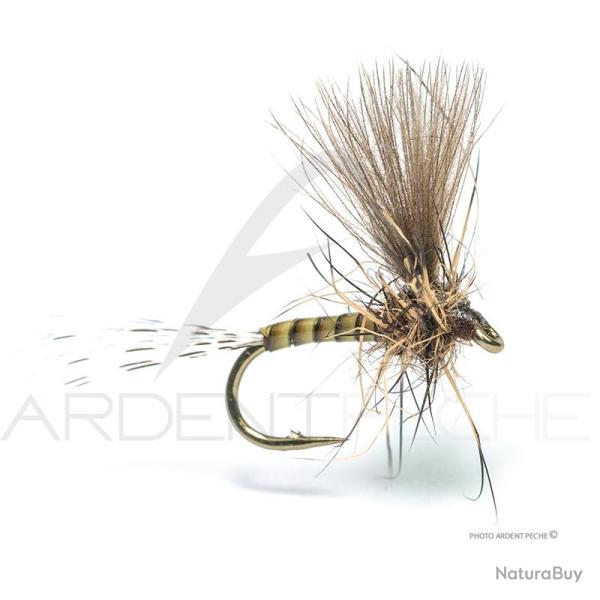 Mouche Florian St�phan EM4 H18