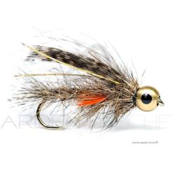 Mouche Florian St&eacute;phan Veron paonne H8