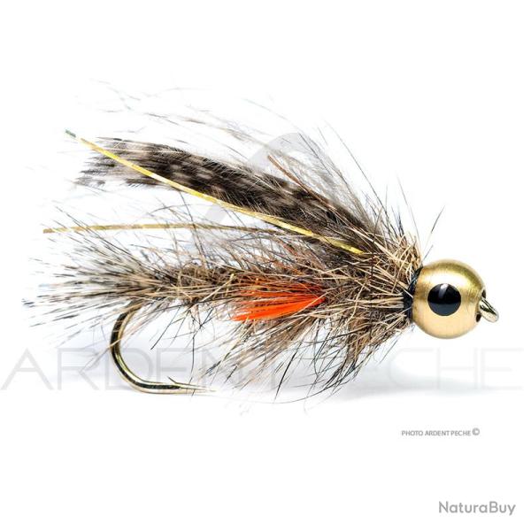 Mouche Florian St�phan Veron paonne H8