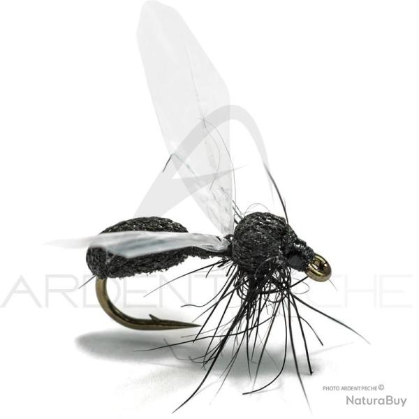 Mouche Florian St�phan Fourmi F4 H16