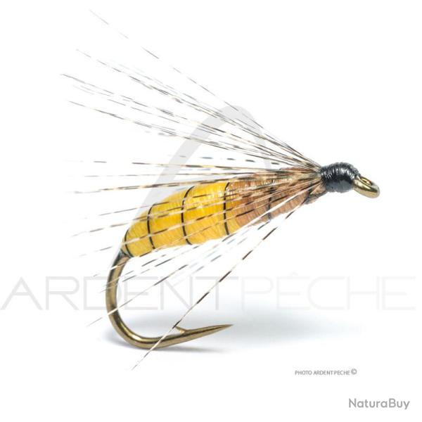 Mouche Florian St�phan Palaretta bicolore H10