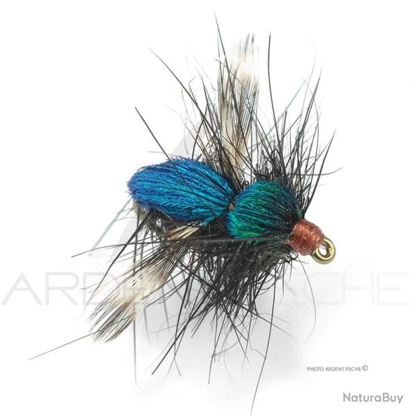 Mouche Florian St�phan Mouche maison H14