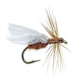 Mouche AB FLY Fourmis MC1 M H20