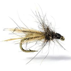 Mouche AB FLY Dipt&egrave;res MC13 H22