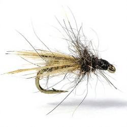 Mouche AB FLY Dipt&egrave;res MC13 H22