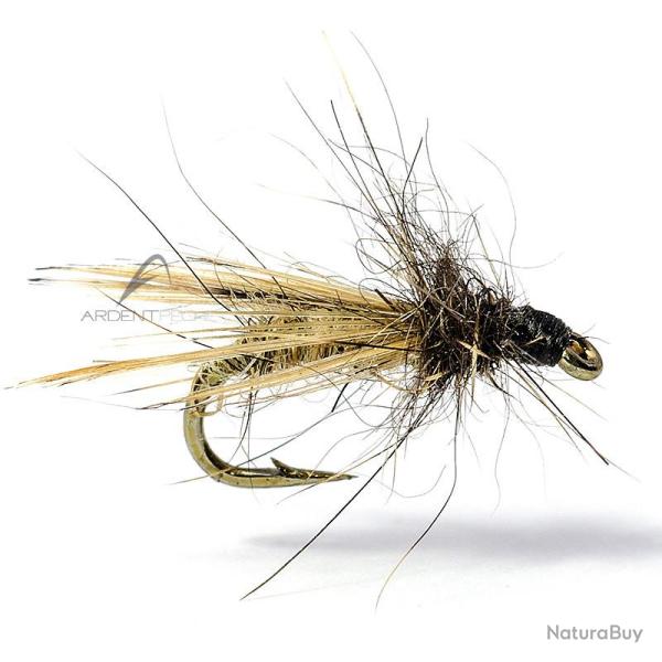 Mouche AB FLY Dipt�res MC13 H22