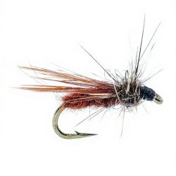 Mouche AB FLY Dipt&egrave;res MC 15 H22