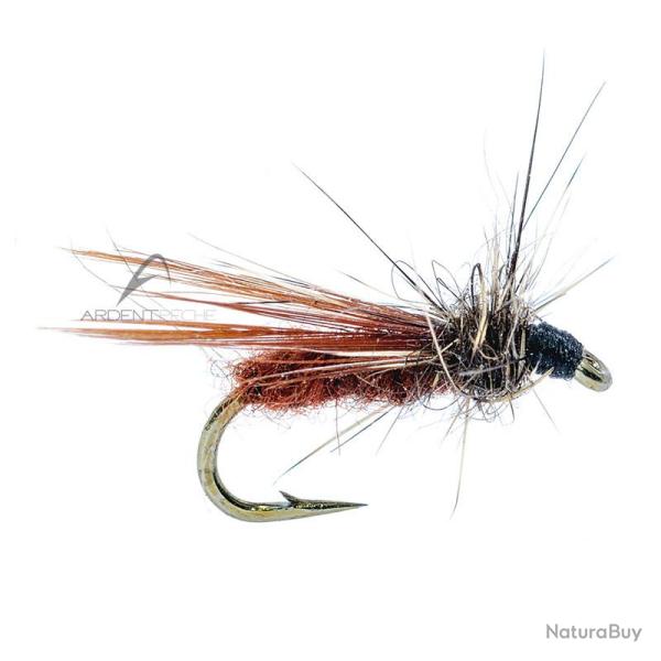Mouche AB FLY Dipt�res MC 15 H22