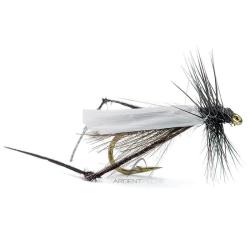 Mouche AB FLY Dipt&egrave;res bibio H12