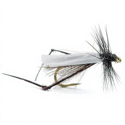Mouche AB FLY Dipt&egrave;res bibio H12