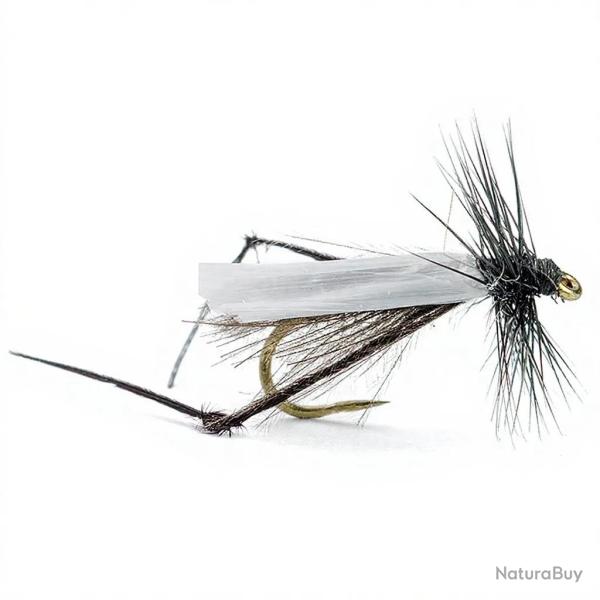 Mouche AB FLY Dipt�res bibio H14