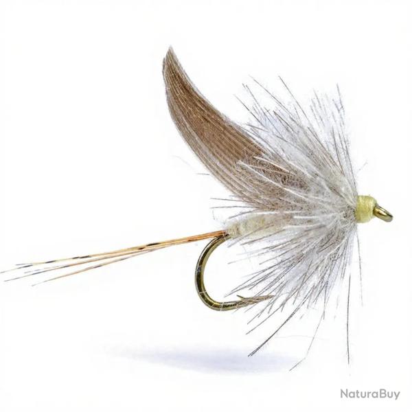 Mouche AB FLY Eph�m�res subimagos ornans LTC H20