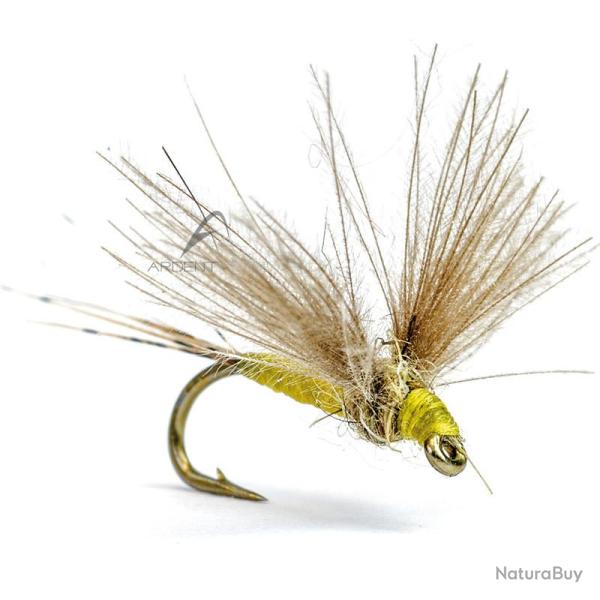 Mouche AB FLY Eph�m�res subimagos SUB J H22