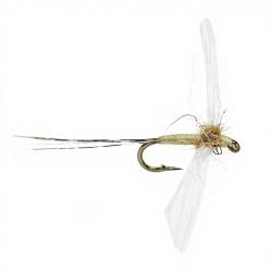 Mouche AB FLY Eph&eacute;m&egrave;res spents SBC LTC H20