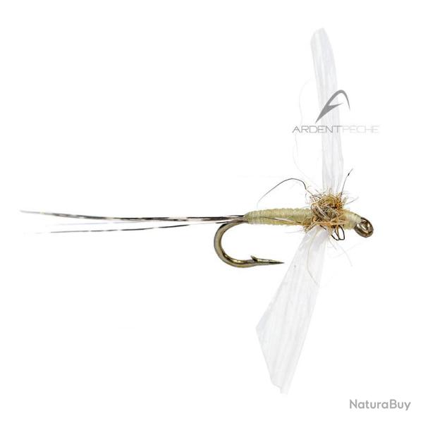 Mouche AB FLY Eph�m�res spents SBC LTC H20