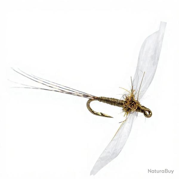 Mouche AB FLY Eph�m�res spents SBC OL H20